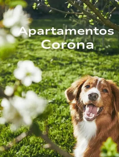 Apartamentos Corona